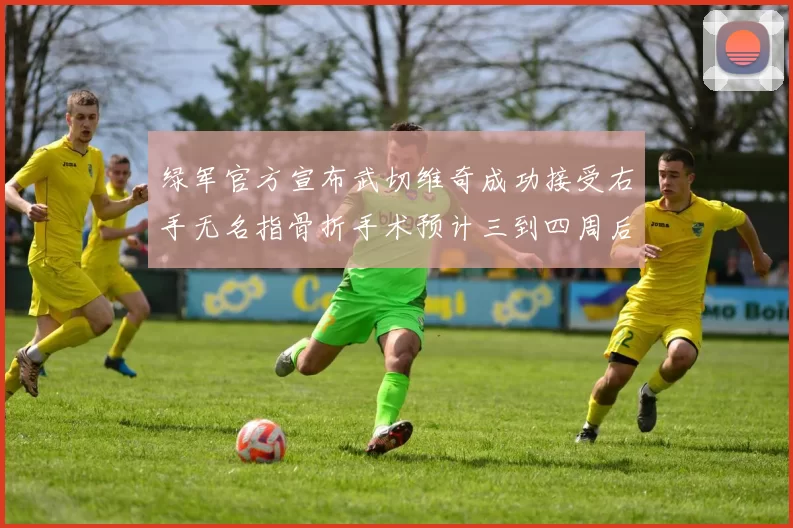 绿军官方宣布武切维奇成功接受右手无名指骨折手术预计三到四周后复查
